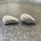 Pendientes de plata 925 con diseño en forma de concha, acabado en plata brillante.