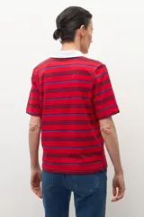 Remera de manga corta con cuello polo blanco y escote pronunciado en V. El cuerpo de la prenda es de color rojo con finas rayas horizontales en azul oscuro y azul claro.