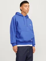 Buzo con capucha azul, de manga larga y corte holgado. Confeccionado en tejido loop back cepillado, con puños de canalé, bolsillo canguro y estampa en goma de tacto suave.