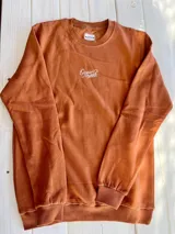 Buzo color ladrillo de corte estándar con cuello redondo y puños y cintura acanalados. Estampado en la espalda con diseño de una ola, un sol y una palmera.