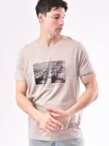 Remera gris con estampa rectangular con imagen de paisaje y texto.