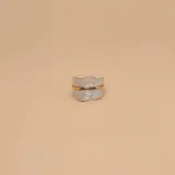 Anillo satinado de plata 925 con una banda central de oro.