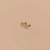 Par de caravanas de oro amarillo 9k con forma circular y diseño calado de huella de perro.
