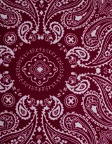 Pañuelo cuadrado negro con estampado paisley en blanco y borde con diseño geométrico.