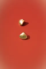 Aretes tipo stud dorados con forma de concha marina estriada.