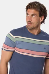 Remera de manga corta con diseño a rayas horizontales en tonos azul, verde, beige y rosa.