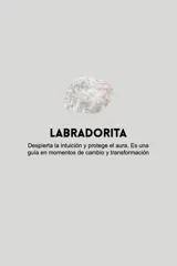 Aros colgantes de acero quirúrgico hipoalergénico con dije de piedra natural en forma de gota color azul oscuro.