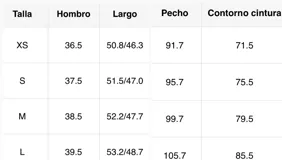 Blusa blanca con bordado floral, escote en V pronunciado, mangas largas abullonadas con puños elásticos y detalle de lazo ajustable en el frente.