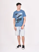 Remera gris con estampado rectangular con imágenes de paisajes y texto.