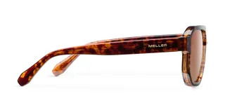 Gafas de sol Seba modelo Tigris Brown, con montura aviador geométrica oversize en carey y lentes marrones.