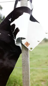 Top corto de cuero ovino con estampado de vaca en blanco y negro, con breteles anchos.