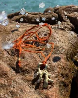 Collar con dije de bronce macizo con forma orgánica o de coral, suspendido de un hilo de seda natural color naranja.