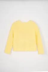 Sweater amarillo de punto fantasía con cuello redondo y mangas largas. Tejido suave y cómodo.