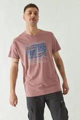 Remera gris de manga corta con estampa frontal con la palabra "Surfing" y el logo de Mistral Co.