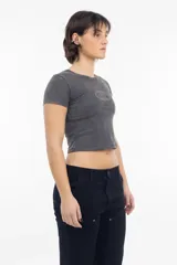Remera corta gris con logo ovalado estampado en el centro.