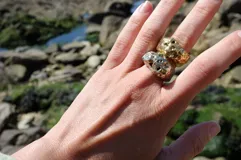 Anillo plateado con diseño irregular inspirado en los corales marinos.