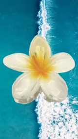 Broche para el pelo con forma de flor de hibisco color blanco con centro amarillo.