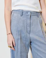 Pantalón gris de lino, de pierna ancha con pinzas, tiro medio, bolsillos laterales inclinados, raya de aplomo y bolsillos traseros ojal y con tapa. Tiene cierre y botón en la cartera y cintura interna prearmada.