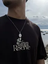 Remera marrón con cuello redondo y manga corta. Estampado frontal con un ave y el texto "Great Lake Natural Reserve".