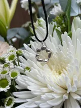 Collar con dije circular de plata formado por pequeñas esferas irregulares, suspendido de un cordón negro.