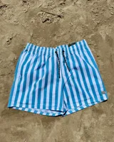 Short de baño blanco con rayas verticales verdes y cordón de ajuste negro.