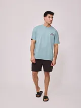 Remera de algodón con lavado, color celeste verdoso, de corte holgado (loose fit) y cuello redondo. Presenta un pequeño estampado gráfico en el pecho.