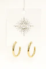 Aros tipo argolla color dorado, de plata 925 con baño de oro.