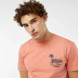 Remera color salmón de manga corta con cuello redondo y estampado pequeño en el pecho con una palmera y texto en azul.
