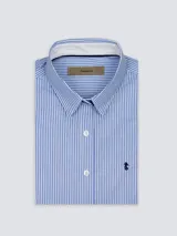 Camisa de vestir entallada a rayas verticales celestes y blancas, de manga larga y cuello clásico.