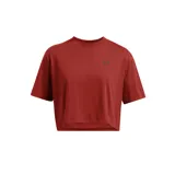Remera corta Under Armour color ladrillo, de corte holgado y mangas cortas. Presenta el logo de la marca en el pecho.