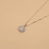 Conjunto de collar y dije redondo de plata 925 con grabado de una mosca.