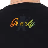Remera negra de manga corta con cuello redondo y estampado frontal con el logo de Etnies en colores rasta (rojo, amarillo y verde).