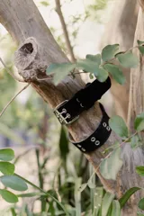 Cinto ancho negro de estilo gótico o punk, con doble hebilla metálica plateada y múltiples ojales metálicos a lo largo de la tira.