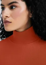 Blusa de tejido de punto color ladrillo, con cuello alto y mangas largas.