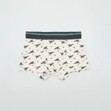 Pack de tres boxers con cintura elástica en color azul marino y verde. Uno de los boxers es de color verde liso, otro es de color beige con estampado de dinosaurios pequeños y el tercero es de color beige con estampado de dinosaurios grandes.