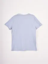 Remera de manga corta color celeste claro con cuello redondo y un pequeño estampado lineal de cinco macetas con flores en el centro del pecho.