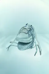 Zapatillas deportivas grises con detalles en azul, cordones blancos y suela gruesa. Fabricadas en cuero vegano y goma.