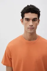 Remera naranja de algodón liviano con cuello redondo y corte estándar.