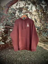 Buzo hoodie color marrón con estampa de paisaje de montaña y texto "Never Stop Exploring" en la espalda.