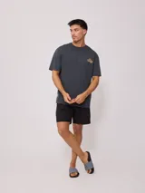 Remera de algodón con lavado, color celeste verdoso, de corte holgado (loose fit) y cuello redondo. Presenta un pequeño estampado gráfico en el pecho.