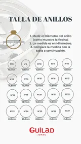 Anillo de Plata y Oro