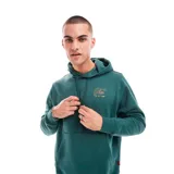 Buzo hoodie verde con logo Nike bordado en dorado en el pecho, bolsillo tipo canguro y cordón ajustable en la capucha.