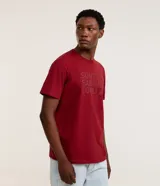 Remera de algodón color ladrillo con cuello redondo, manga corta y estampa con la frase "South Sailing Soul".