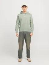 Buzo con capucha verde claro, de corte clásico, con puños y ruedo acanalados. Estampa trasera con diseño abstracto en tonos beige y texto con el logo de la marca.