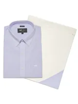 Camisa de hombre a cuadros celestes y blancos, de corte regular fit, manga larga y cuello americano con botones.