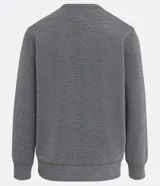 Buzo deportivo marrón de poliéster con cuello redondo y mangas largas.