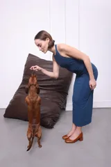 Zapato de cuero color marrón con textura de cocodrilo, de tacón cuadrado y puntera redondeada.