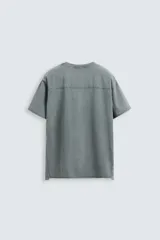 Camiseta gris con efecto lavado, corte relaxed fit, cuello redondo y manga corta. Estampado frontal de una mosca en color blanco.
