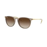 Lentes de sol de acetato con forma cateye y cristales oscuros degradados.