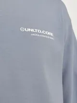 Canguro celeste con capucha, manga larga y estampado en la espalda con la leyenda "UNLTD.CORE The Core Unlimited Edition: Designed in Copenhagen and London. Inspired by Scandinavian aesthetics and the urban design culture of London. JACK&JONES@1990.".